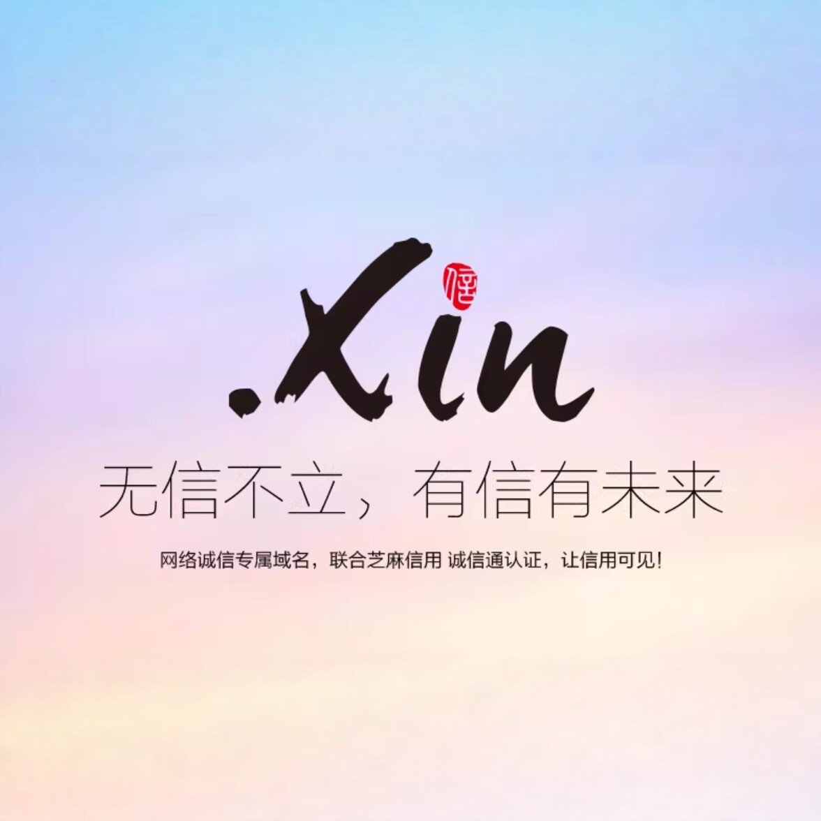 .XIN Logo